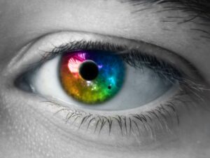 optometry students eye